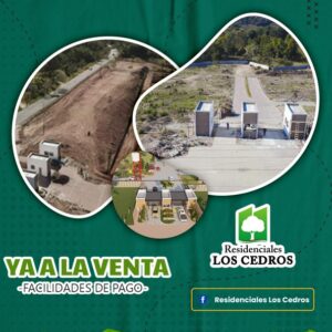 DISEÑO DESDE Q.50.00 EN ADELANTE