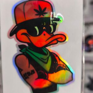 STICKER TORNASOL DE 6 – 12 CM. UNIDAD