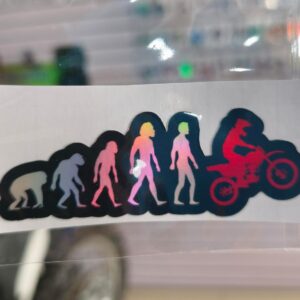 STICKER TORNASOL DE 6 – 12 CM. UNIDAD