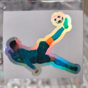 STICKER TORNASOL DE 6-12 CM. UNIDAD