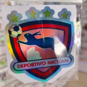STICKER TORNASOL DE 6-12 CM. UNIDAD
