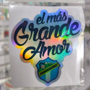 STICKER TORNASOL DE 6-12 CM. UNIDAD