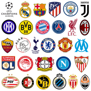 CARTON DE 29 STICKER DE 6 A 12 CM TORNASOL