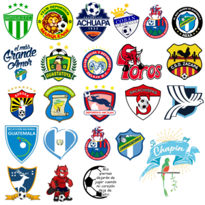 CARTON DE 24 STICKER DE 6 A 12 CM TORNASOL